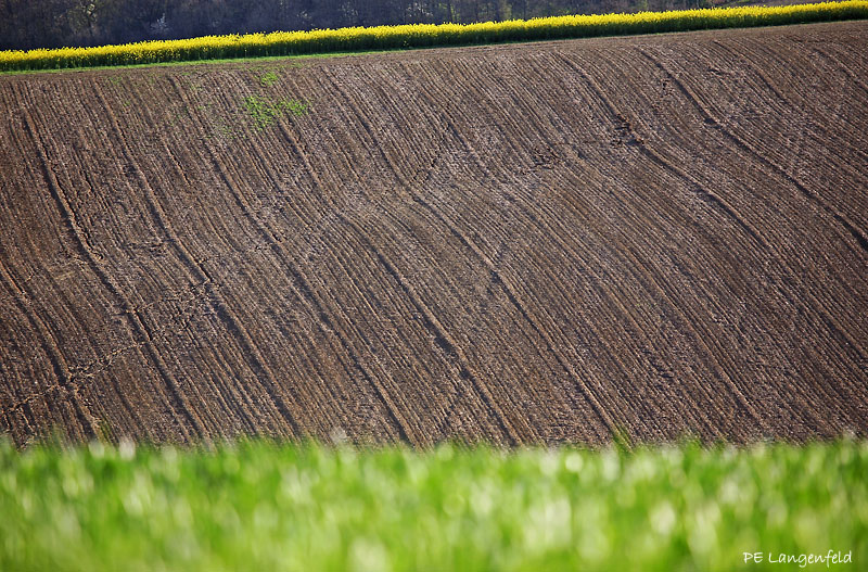 Furrows
