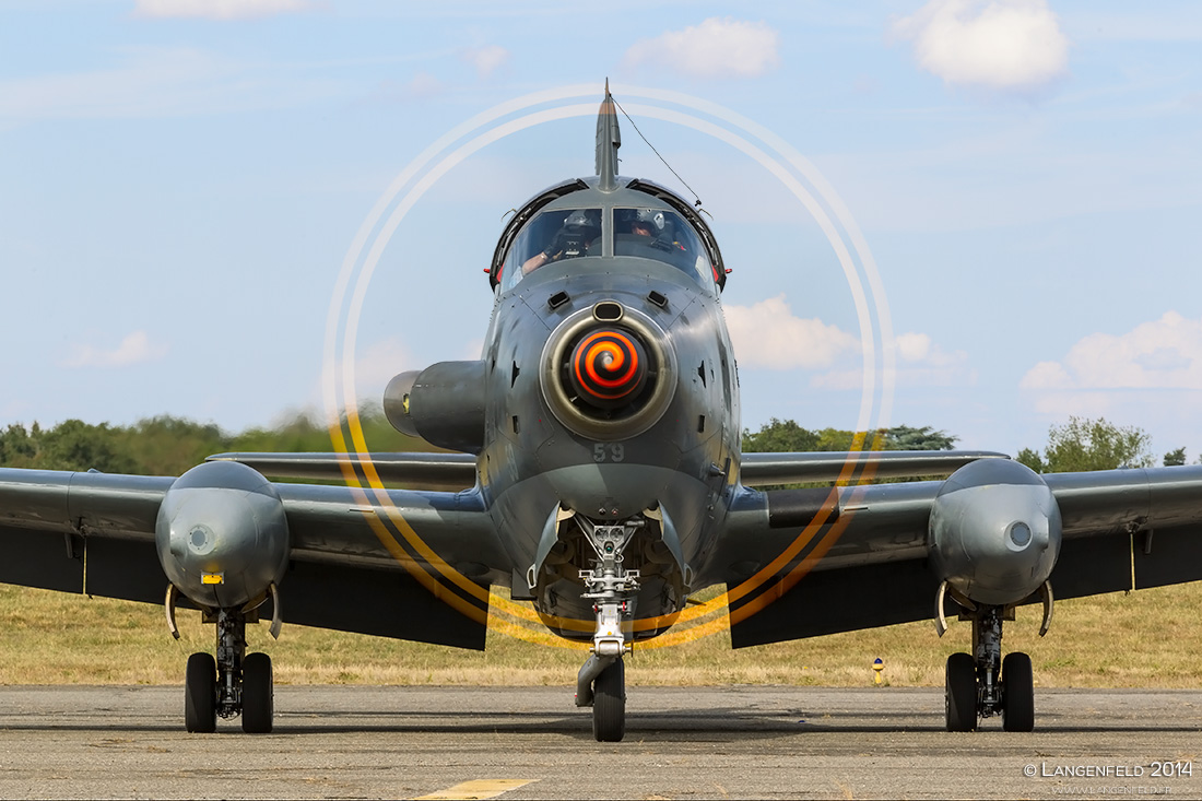 Francazal Des étoiles Et Des Ailes