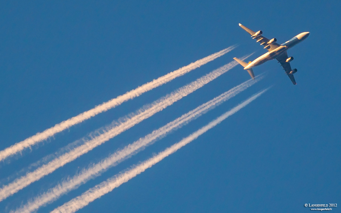 BV0F9399rw close 1100