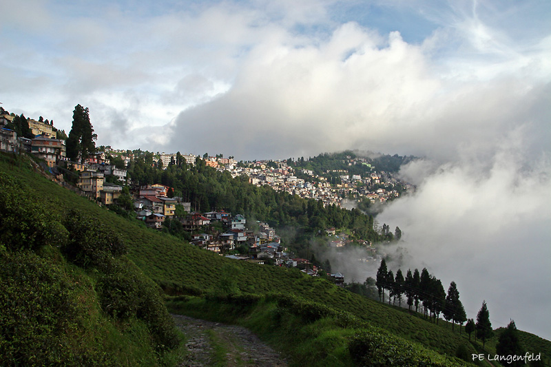 Darjeeling